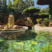Alberca con puente y fuente